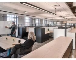 Open-plan office with acoustic ceiling panels, desks, and meeting area